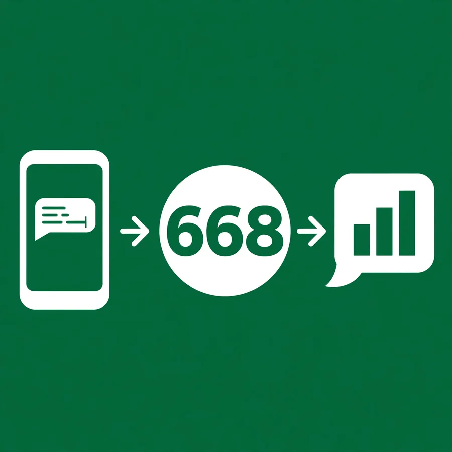 How the 668 SMS check works infographic: send CNIC to 668, get SIM count reply