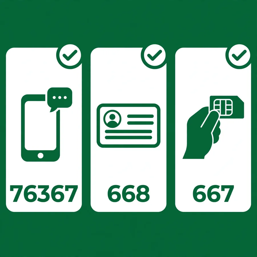 Three lawful checks in Pakistan infographic: 76367, 668, 667