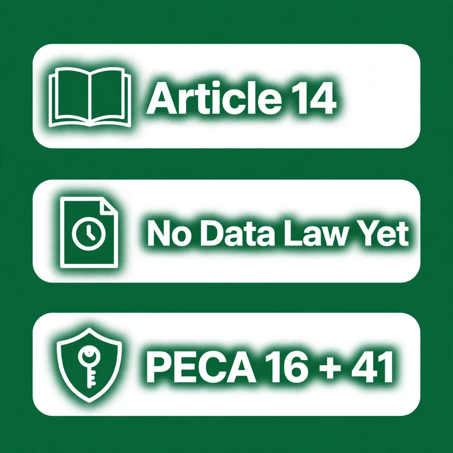 Your rights infographic: Article 14, PECA, no data law yet