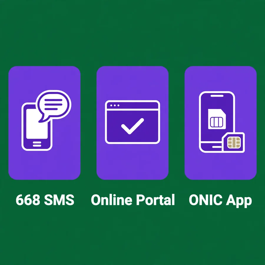 Check your ONIC SIM infographic: 668 SMS, online portal, app